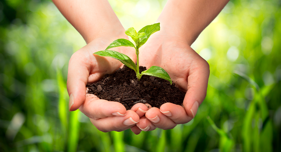 Почему генно-модифицированные семена - это угроза не только для урожая